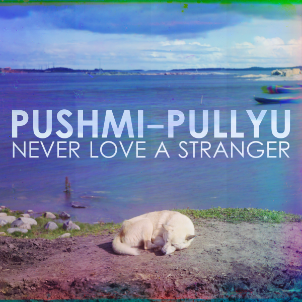 Pushmi-Pullyu - Never Love A Stranger